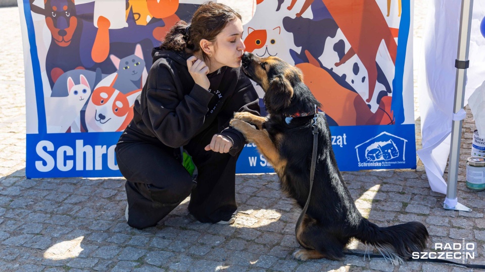 Fot. Robert Stachnik [Radio Szczecin]