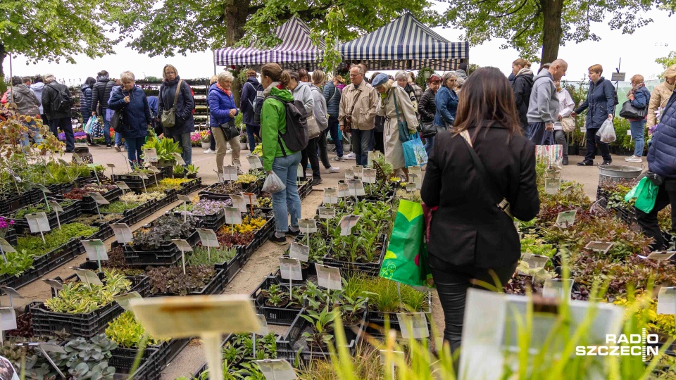 Fot. Robert Stachnik [Radio Szczecin]