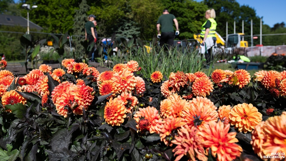 Fot. Weronika Łyczywek [Radio Szczecin]