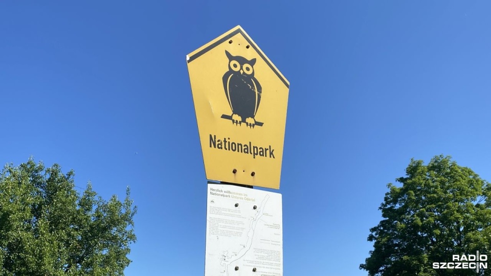 Strona niemiecka liczy na powstanie Parku Narodowego Doliny Dolnej Odry. Fot. Mateusz Rzepecki [Radio Szczecin]