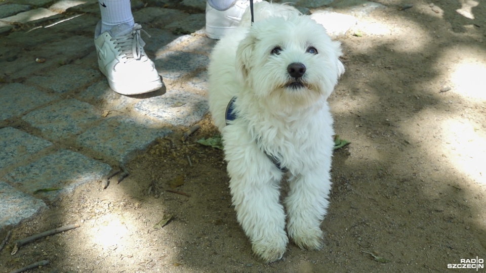 Fot. Maciej Papke [Radio Szczecin]