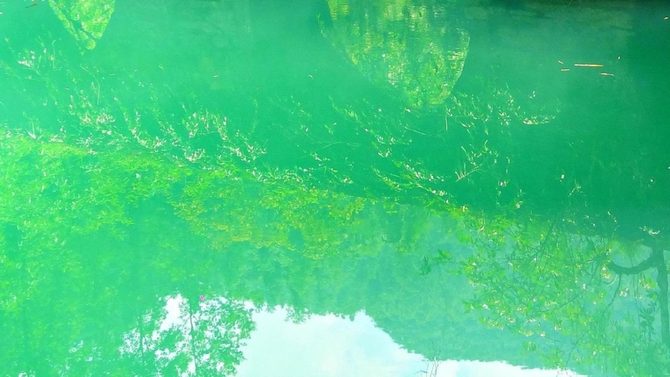 Fot. Pixabay / Leeshypooh