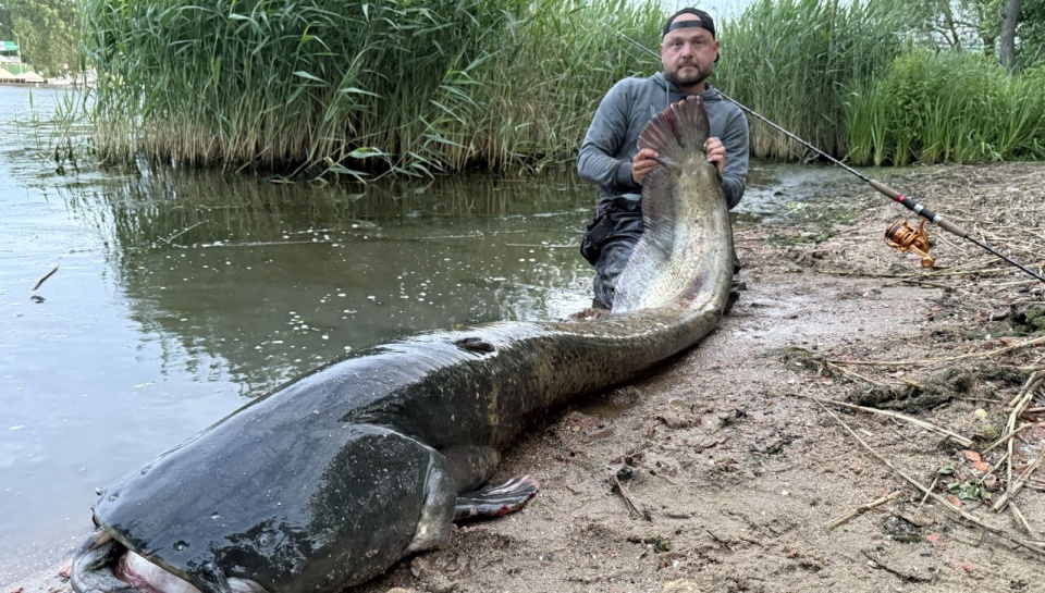 fot. Michał Chełkowski