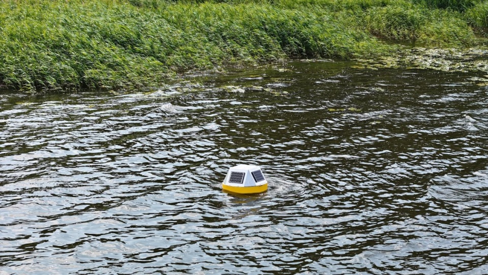 Fot. wiadomosci.szczecin.eu