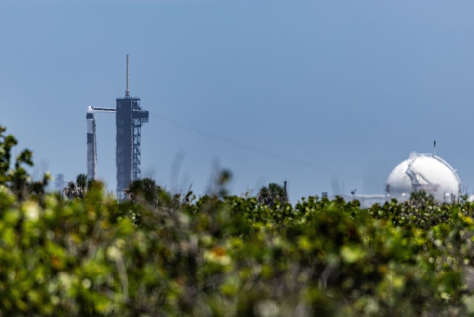 Fot. PAP/Leszek Szymański