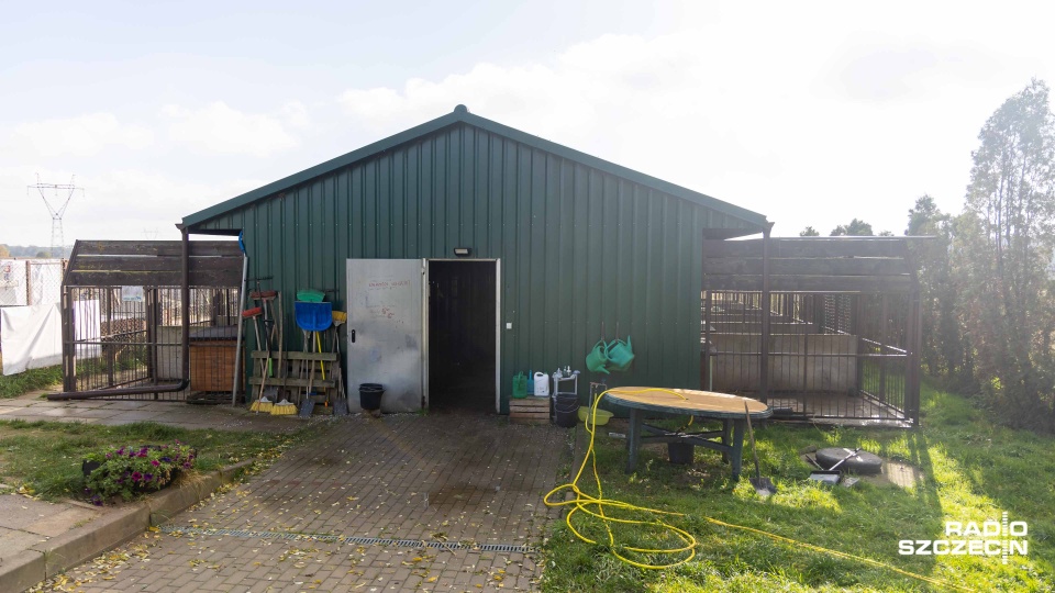 Fot. Robert Stachnik [Radio Szczecin]