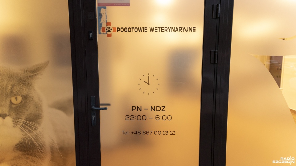 Fot. Kamila Kozioł [Radio Szczecin]