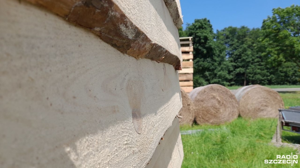 Fot. Joanna Maraszek [Radio Szczecin]