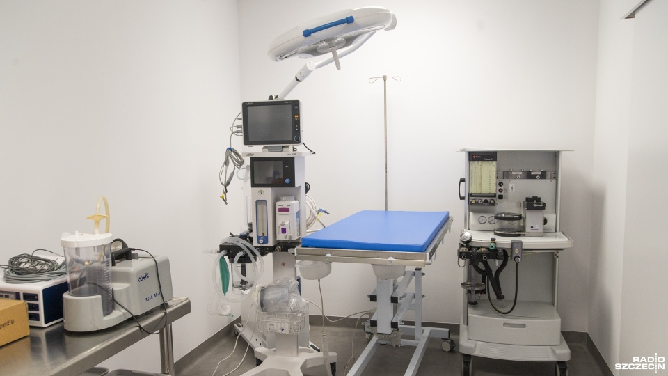 Fot. Kamila Kozioł [Radio Szczecin]