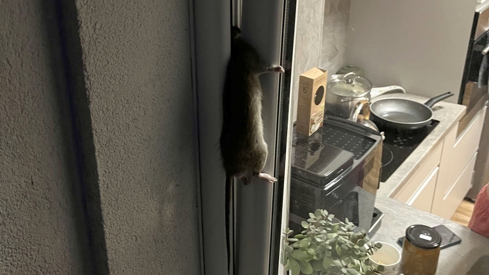 Fot. materiały prywatne