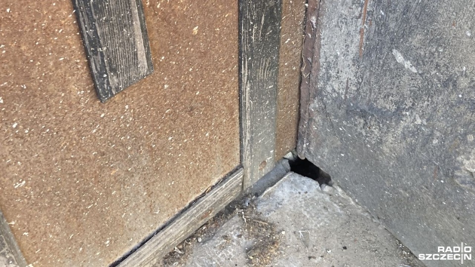 Fot. Krzysztof Cichocki [Radio Szczecin]