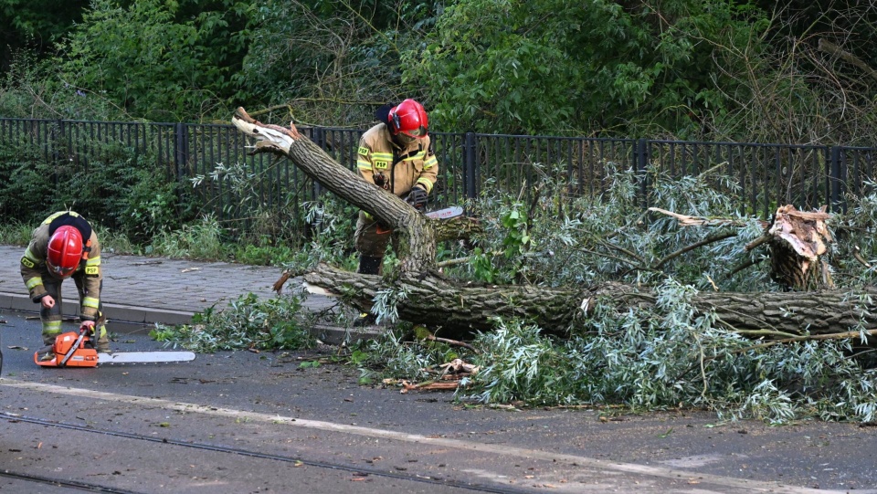 Fot. PAP/Marcin Bielecki