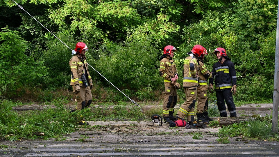 Fot. PAP/Marcin Bielecki