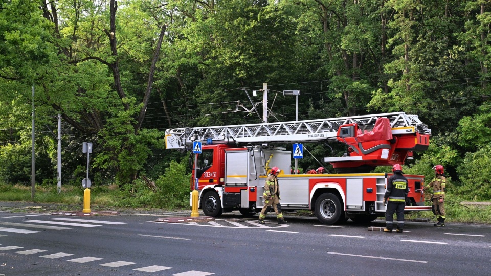 Fot. PAP/Marcin Bielecki