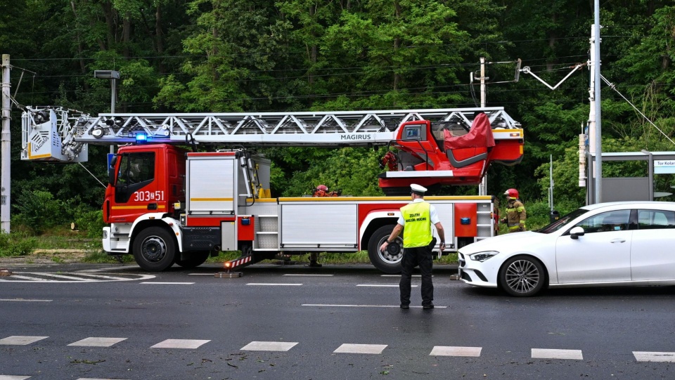 Fot. PAP/Marcin Bielecki