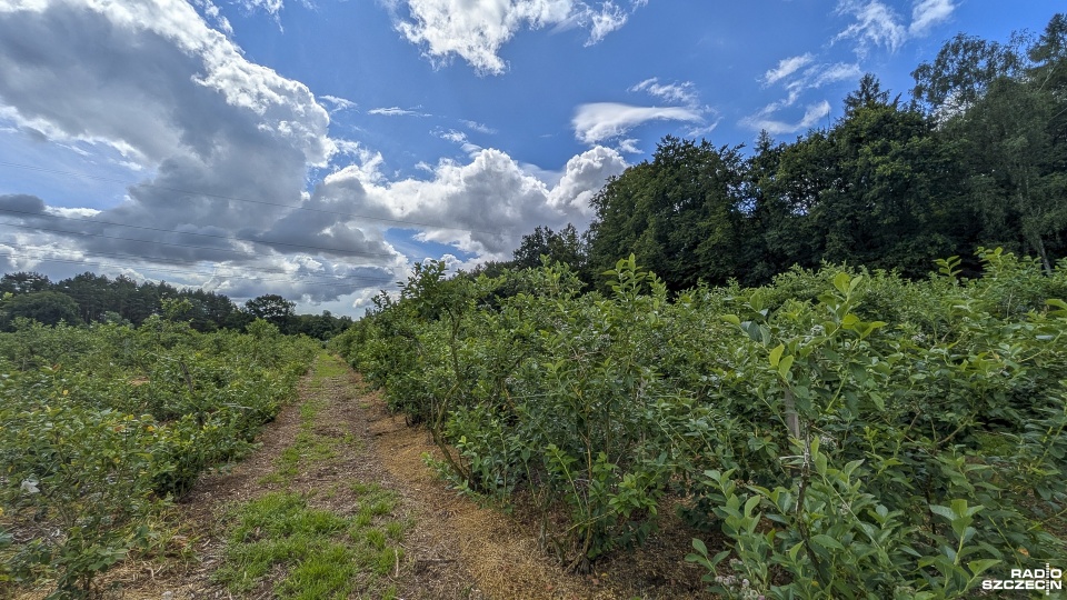 Fot. Maciej Papke [Radio Szczecin]