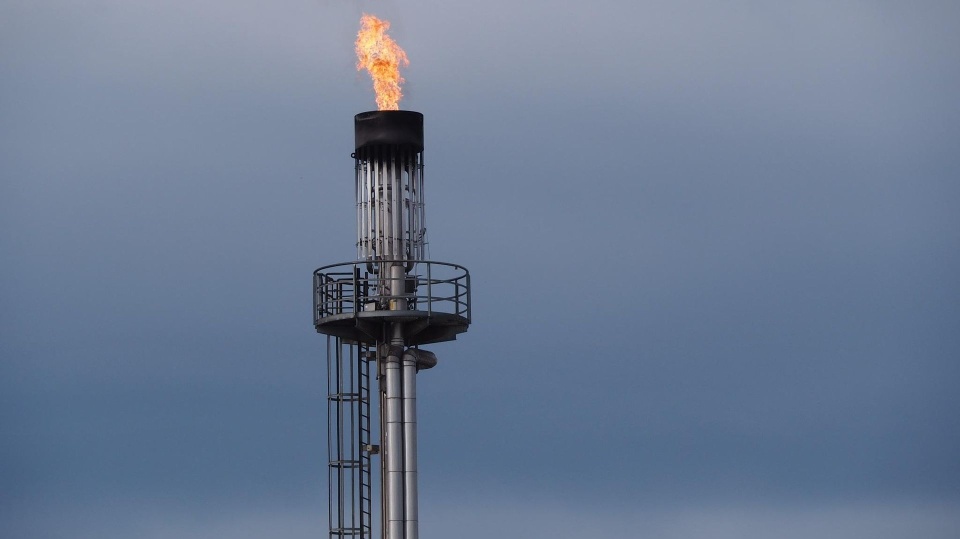 Fot. Ratfink1973/Pixabay