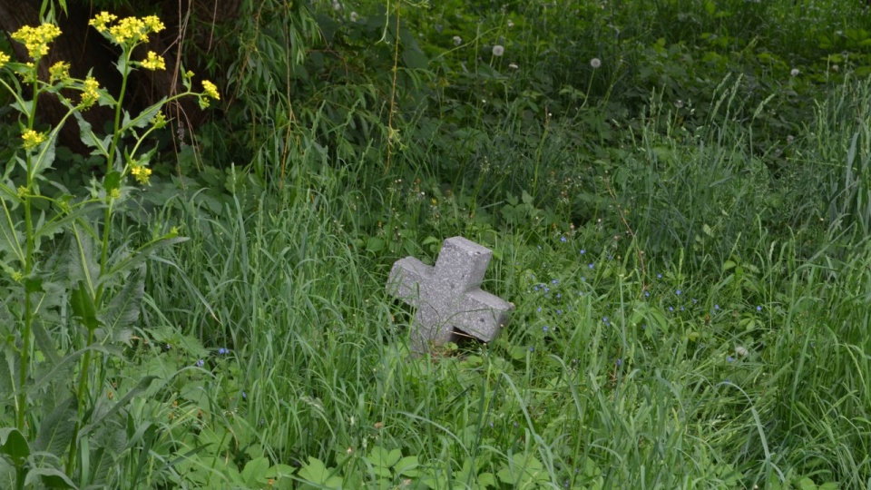 Fot. Barbara Patlewicz