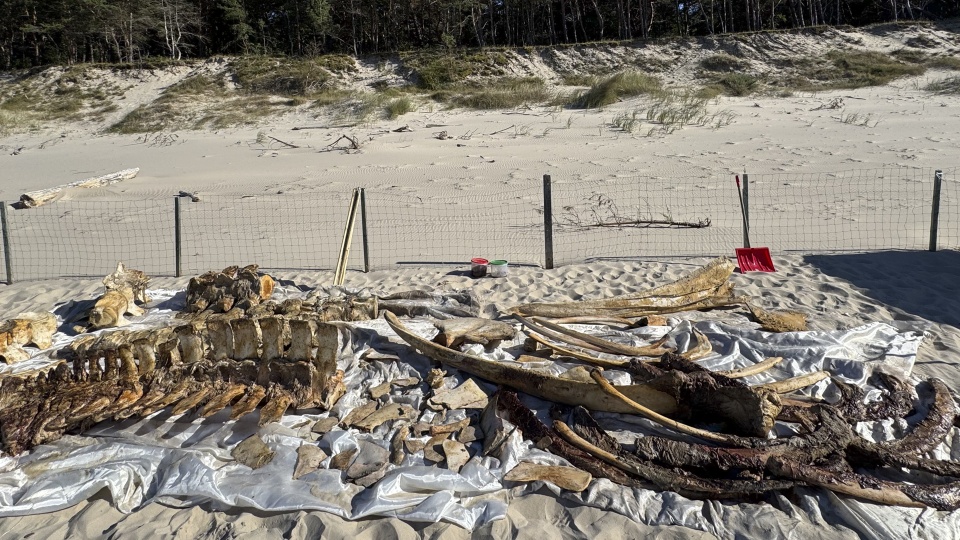 Fot. archiwum prywatne