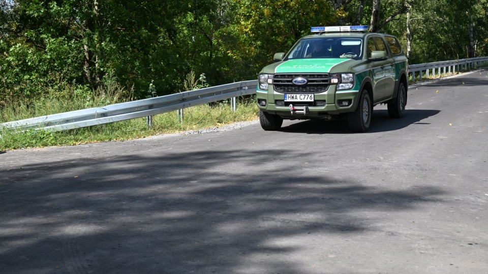 fot. PAP/Wojtek Jargiło