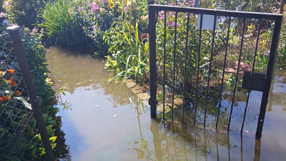 Fot. Archiwum prywatne