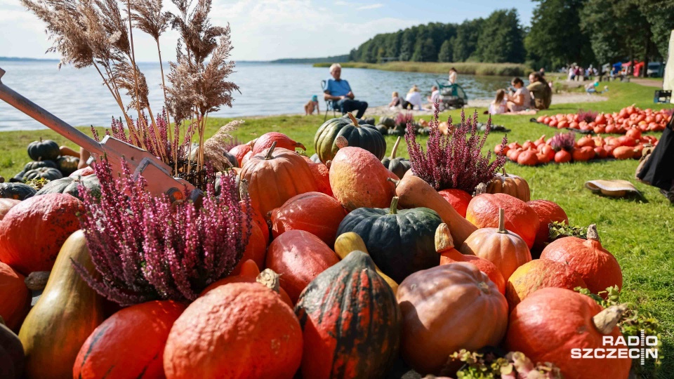 Fot. Robert Stachnik [Radio Szczecin]