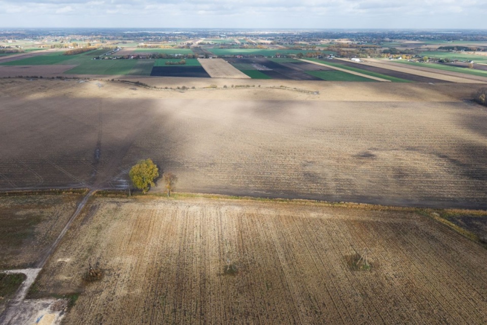Fot. PAP/Leszek Szymański