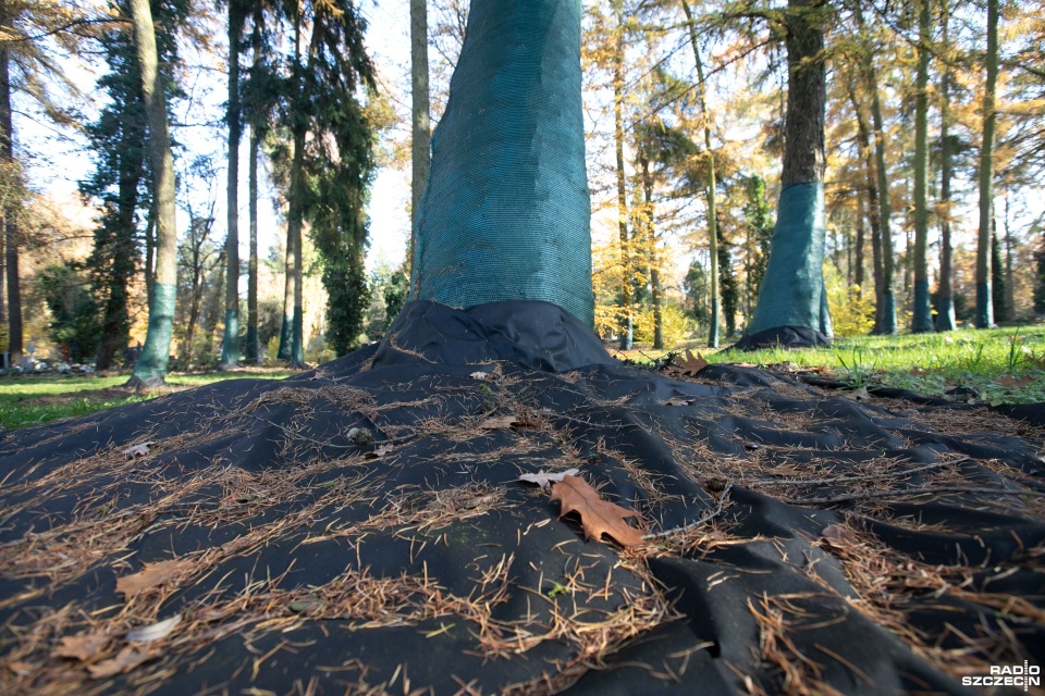 Fot. Weronika Łyczywek [Radio Szczecin]