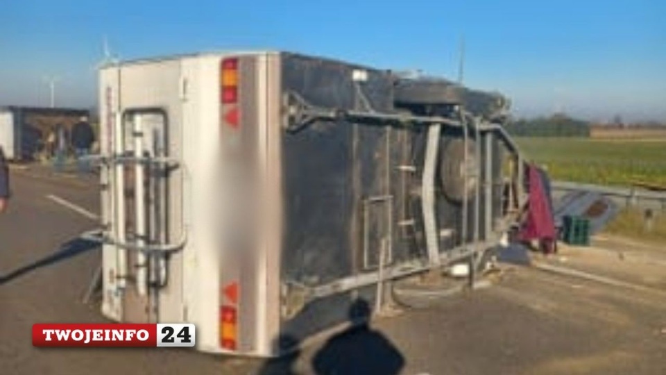 źródło: TwojeInfo24