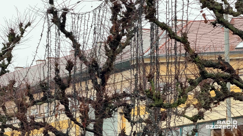 Fot. Robert Stachnik [Radio Szczecin]