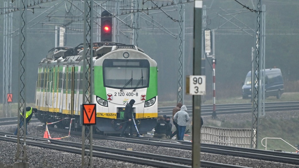 Fot. PAP/Przemysław Piątkowski