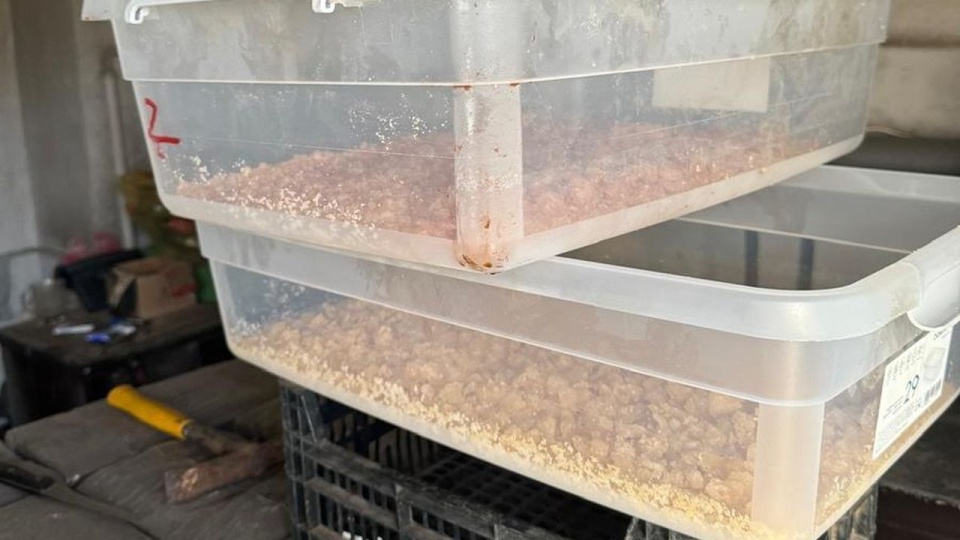 źródło: zachodniopomorska.policja.gov.pl