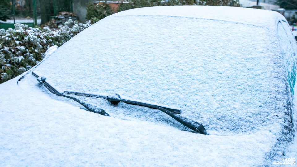 Fot. Weronika Łyczywek [Radio Szczecin]