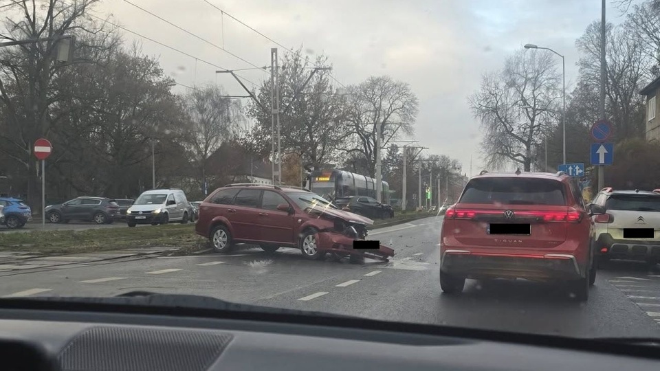 Fot. Facebook Grupa Suszą! Szczecin