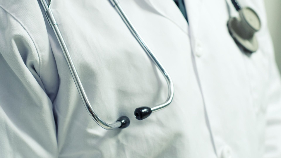 Fot. pixabay.com / orzalaga (CC0 domena publiczna)