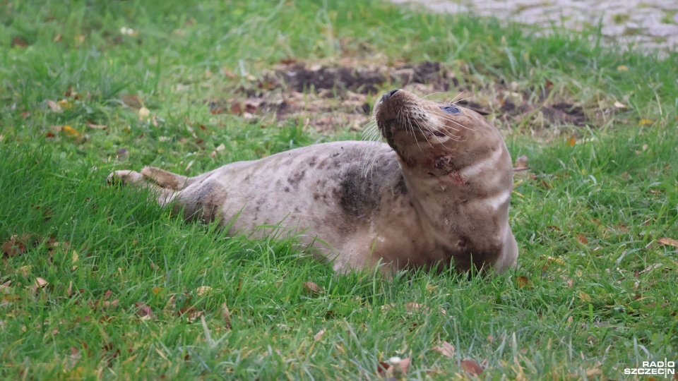 Fot. Przemysław Polanin [Radio Szczecin]
