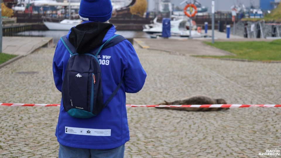 Fot. Przemysław Polanin [Radio Szczecin]