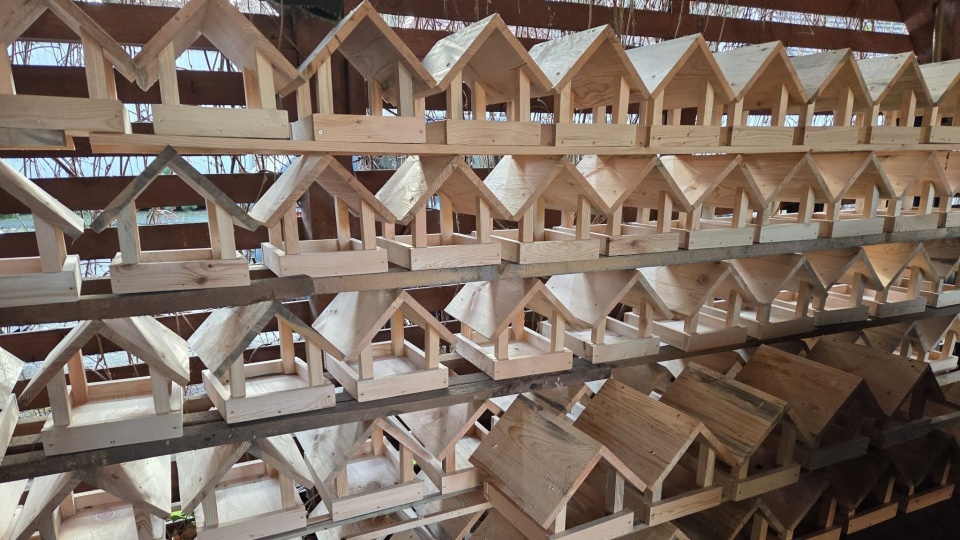 "Odbierz karmnik, pomóż ptakom" - akcja Lasów Miejskich