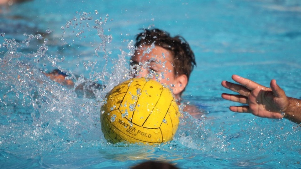 W tabeli rozgrywek o mistrzostwo Polski drużyna trenera Andrzeja Zabdyra zajmuje 7. miejsce. źródło: pixabay.com/pl/3519614/Matthias_Lemm/CC0 - domena publiczna