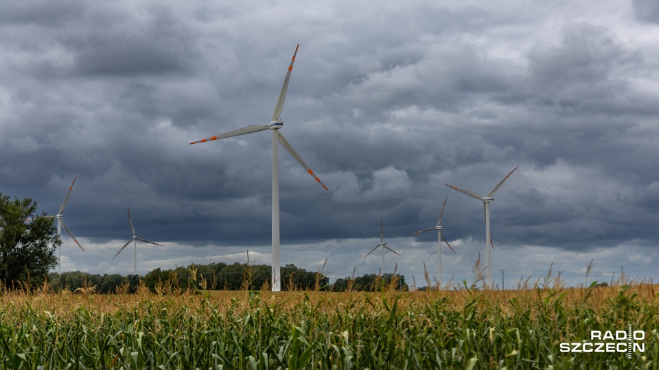 Burmistrz Kamienia Pomorskiego o projekcie budowy wiatraków: nie ma zgody