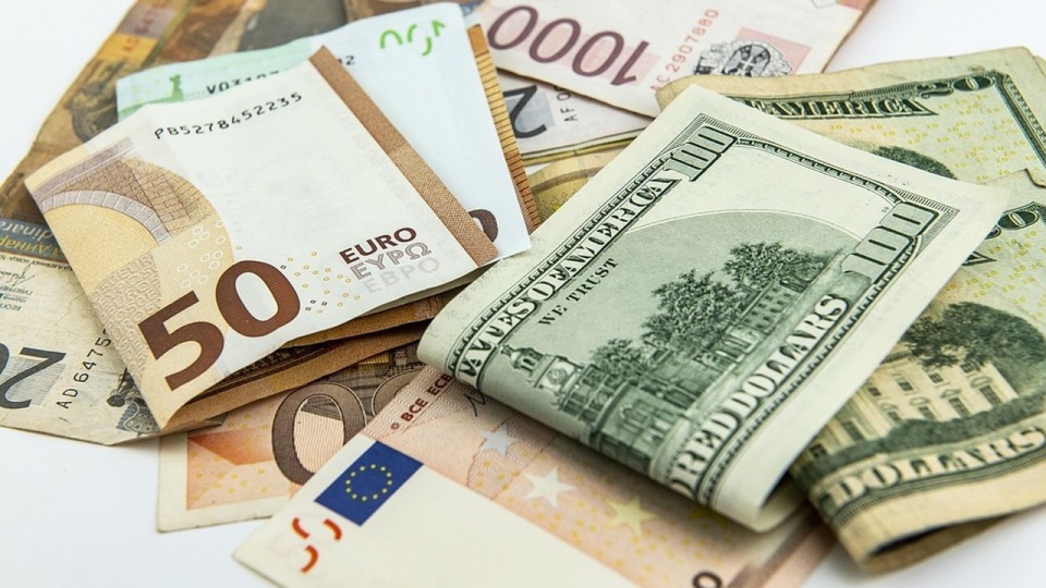 źródło: pixabay.com/pl/4546855/FilipFilipovic/CC0 - domena publiczna