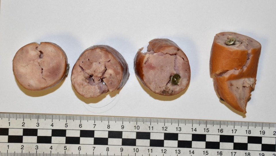 Rozrzucał kiełbasę z gwoździami. Grozi mu do 3 lat więzienia