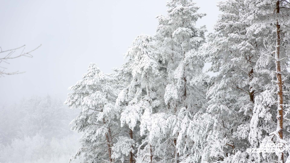 Po godzinie 16 zacznie się się astronomiczna zima
