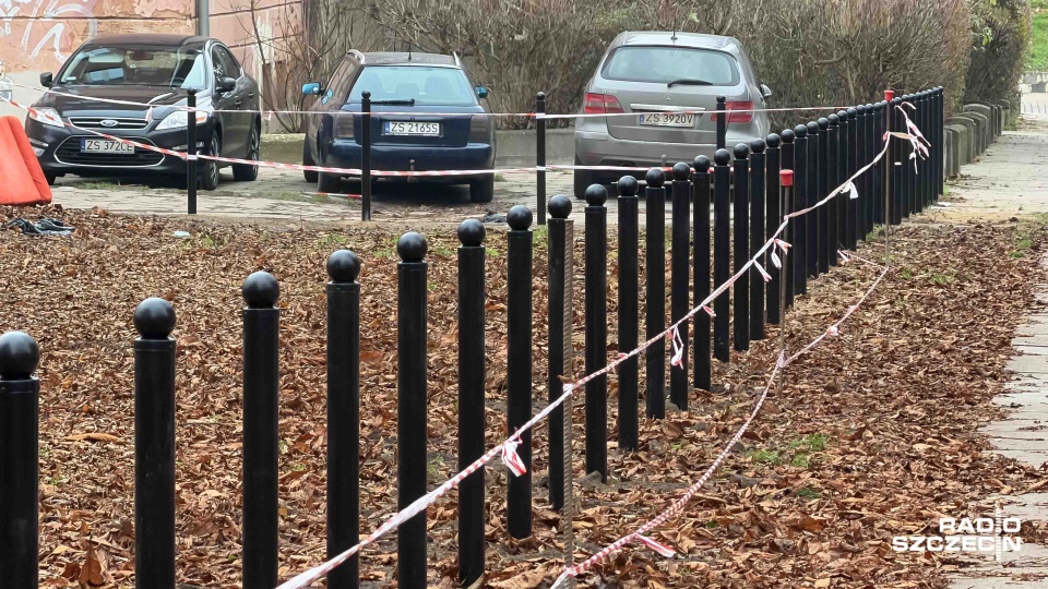 Nowe słupki oddzielają trawnik od chodnika [ZDJĘCIA]