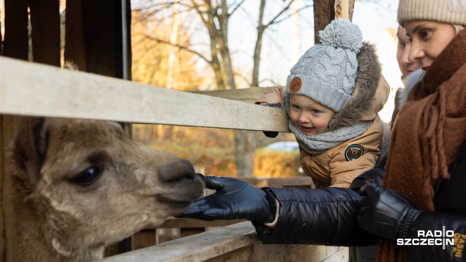 Fot. Robert Stachnik [Radio Szczecin]