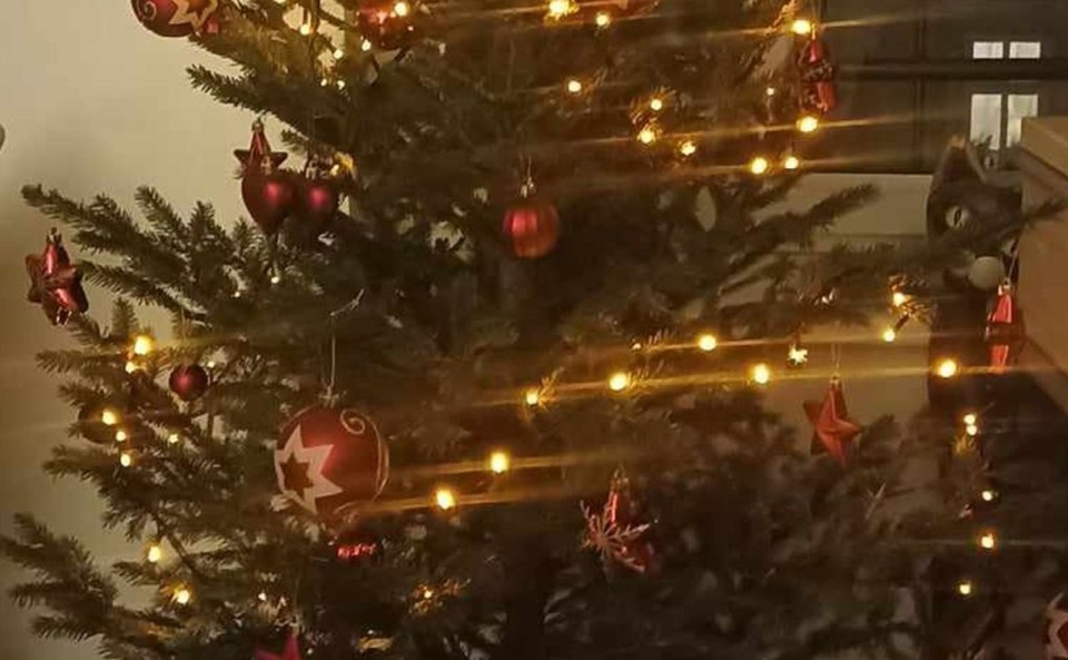 Co zrobić w mieście z choinką po świętach