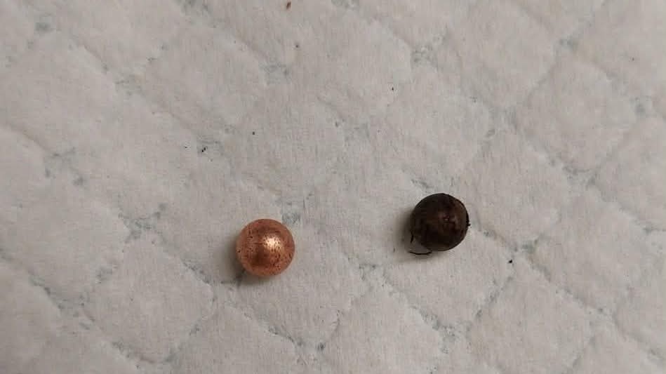 Polowanie na gołębie na Słonecznym, jest zawiadomienie do prokuratury