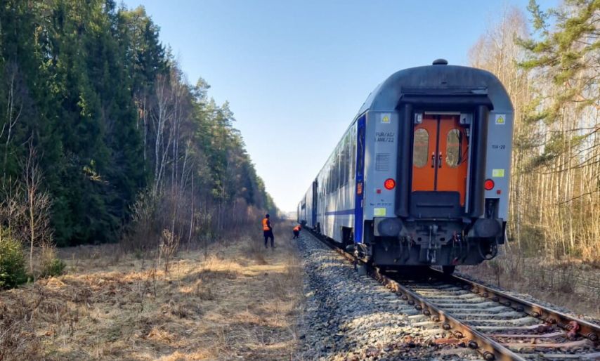 "Żubr" zderzył się z żubrami