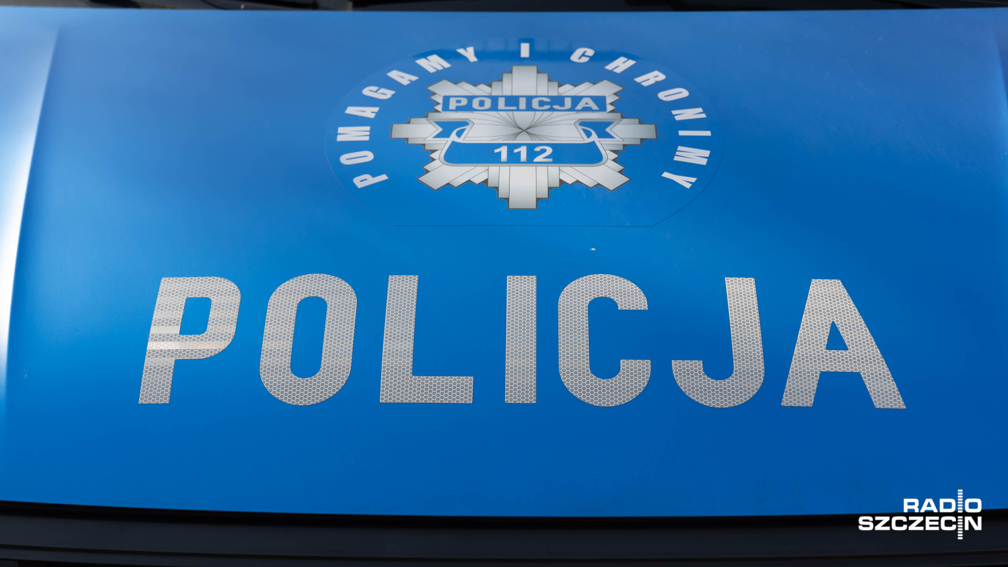 Nietypowi przechodnie na drodze wojewódzkiej odprowadzeni przez policję