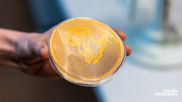 Fot. Robert Stachnik [Radio Szczecin] "Noc Biologów" na Uniwersytecie Szczecińskim [WIDEO, ZDJĘCIA]